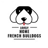 Cute French Bulldogs For Sale in Philadelphia